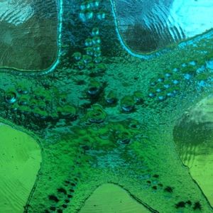 Meet your Posher, MapleJ